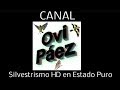 Silvestrismo  Canal Ovi Paez