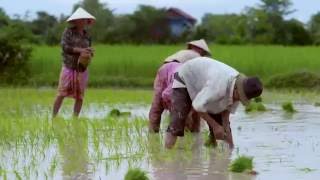 The Crop Trust, Feeding A Growing World