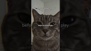 Part 1 #cat #minivideos #viral #fyp #funny #brainrot #animals