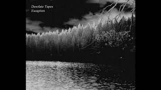 Desolate Tapes - A Lone Walk Through a Desolate Freezing Forest (In a Forgotten Lands)
