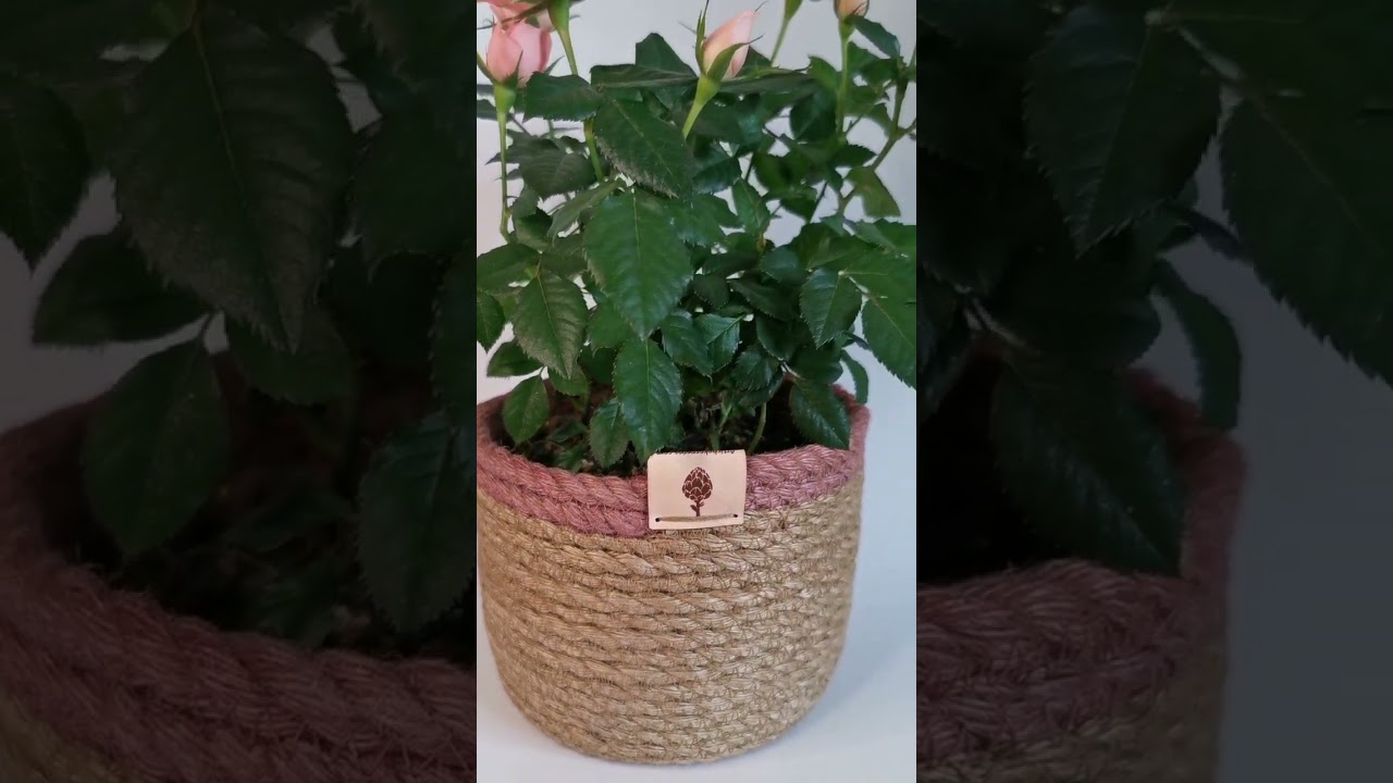 Indoor Plant Basket / Dyed+Natural Jute Rope. 100% Organic & ECO-friendly.
