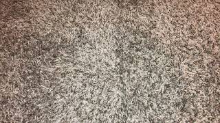 Quick Vhs Update For April 25, 2023