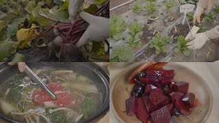 Korean Self-Sufficiency Rural Life/Healthy and Delicious Country Life/Brewery