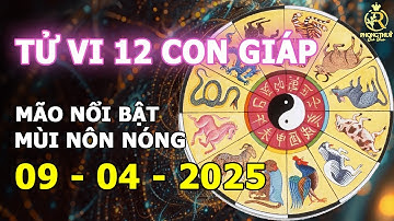 🔮TỬ VI NGÀY 9/4/2025 CỦA 12 CON GIÁP HÔM NAY: Mão nổi bật, Mùi nôn nóng
