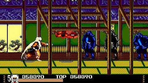 Mega Drive Longplay [343] Mystical Fighter