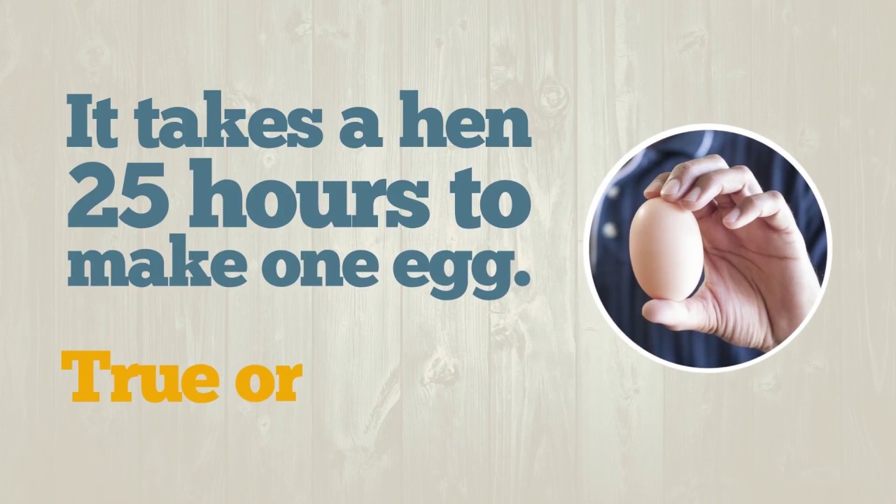 eggs florentine True or False!