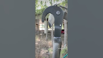 Đầu cắt cành trên cao giật dây chuyên dùng cắt tỉa cành nhánh trên cao.0888542612 #keocatcanhtrencao