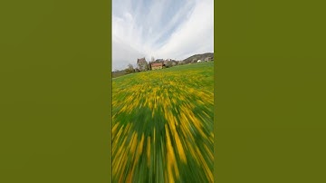 Quick flight w/ Nazgul Evoque V2 & Gopro 11 #fpvdrone #goprohero11