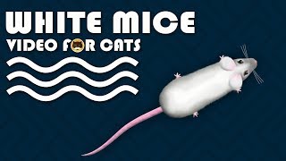 CAT GAMES - Catching White Mice! Mouse Video for Cats to Watch | CAT & DOG TV. screenshot 4