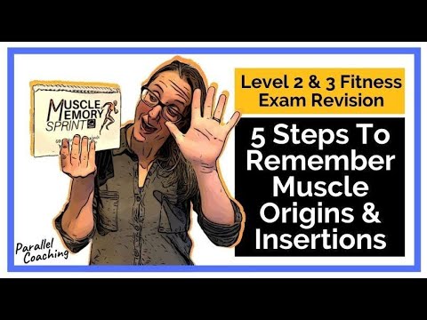 5 Steps To Remember Muscle Origins and Insertions