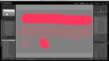 Adjustment brush in Photoshop Lightroom (12/19)