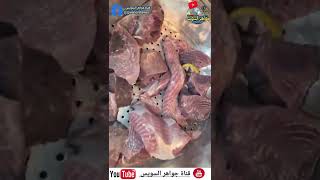 طريقة عمل التونة من سمكة البلاميطة فى المنزل #shorts #home-cooked