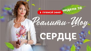 Инструкция по эксплуатации сердца.   Реалити шоу 38 неделя / Елена Бахтина