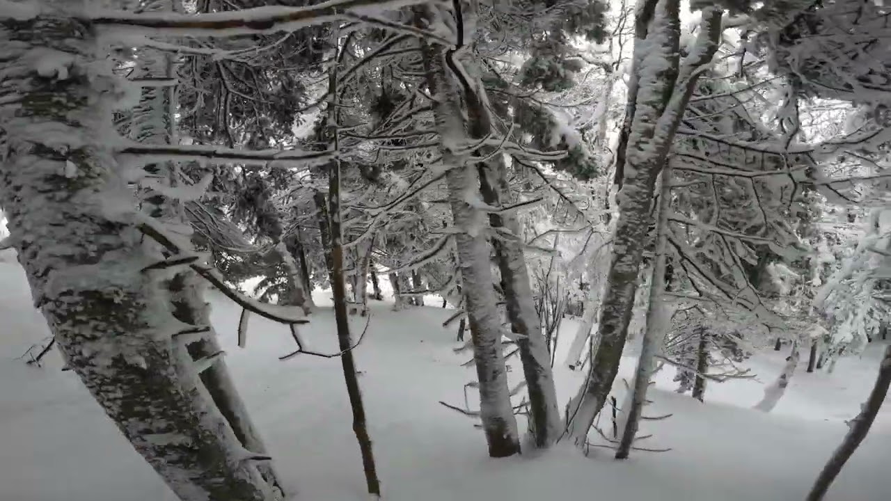 Exploring - FIS Woods - Smugglers Notch (2026)