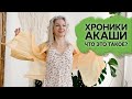 Хроники Акаши – что это?