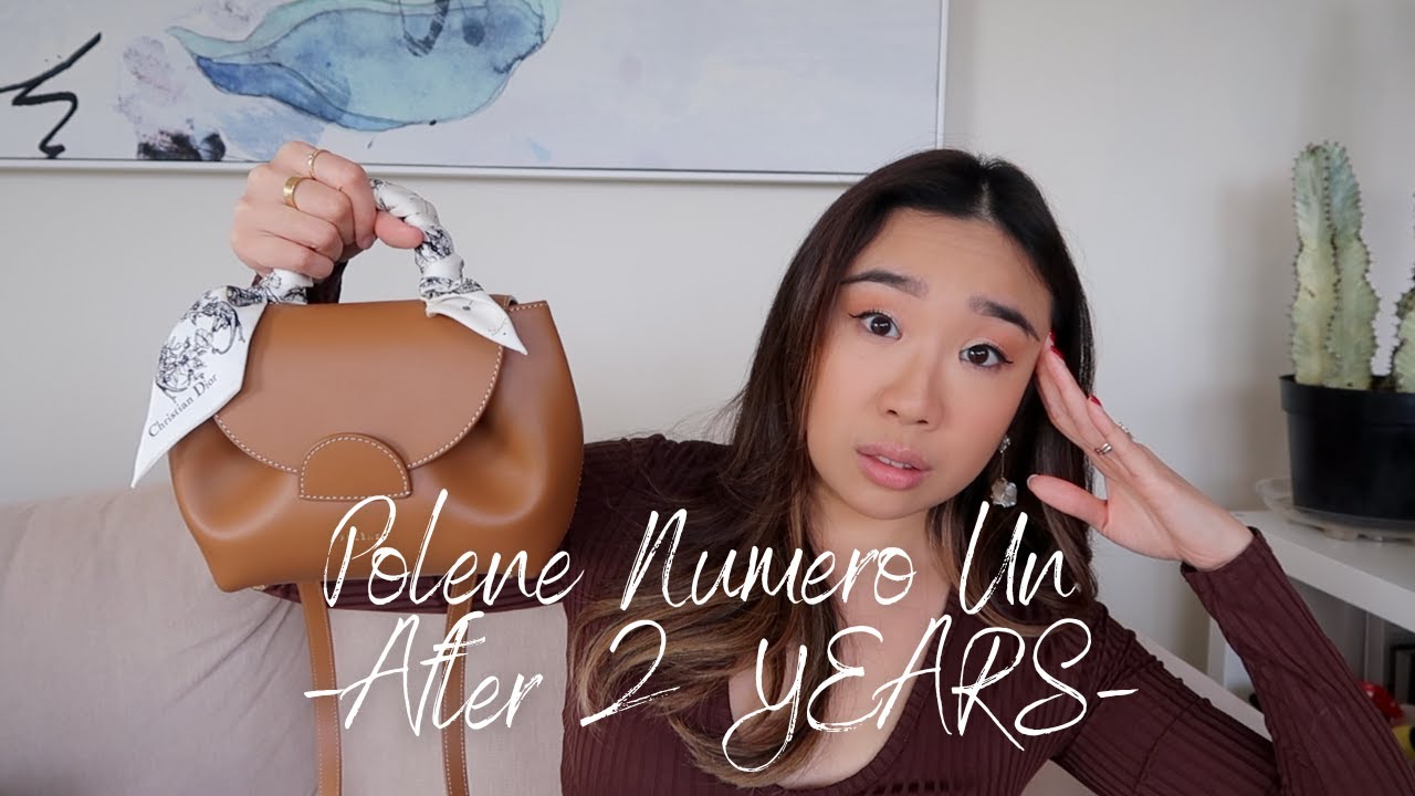 Unsponsored Polene Numero Un Bag Review {Updated September 2021} — Fairly  Curated