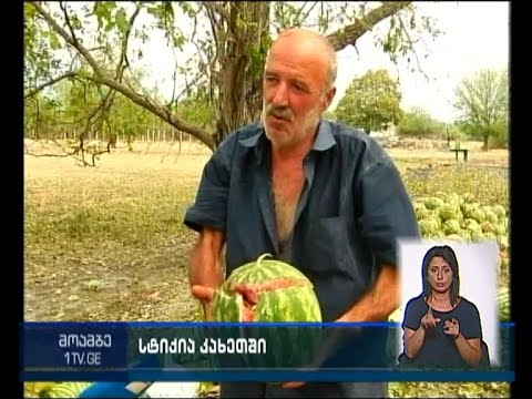 კახეთში სტიქიის შედეგებს ებრძვიან - კომისია ზარალს ითვლის