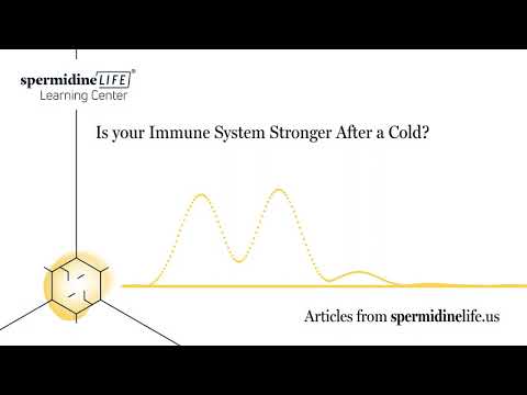 Is Your Immune System Stronger After a Cold? | Stronger Immune System |