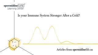 Is Your Immune System Stronger After a Cold? | Stronger Immune System |