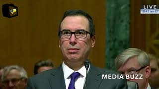 Steven Mnuchin Testifies on Trump's 2019 Treasury Department Budget Request 2/14/18