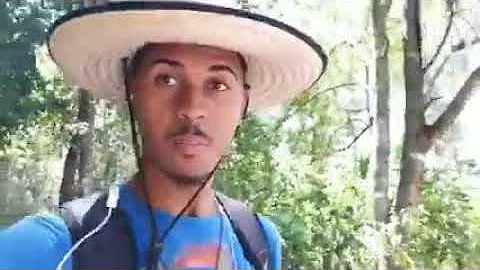 Por que o Merthiolate parou de arder?