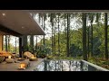  autumn morning in forest balcony bedroom with relaxing jazz piano  music for working and study