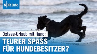 Urlaub mit Hund: So teuer wird jetzt dein Ostsee-Trip! | NDR Info