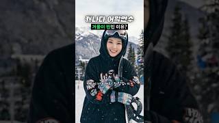 캐나다 어학연수 겨울에 가면 좋은 점｜눈 덮인 도시·크리스마스 분위기