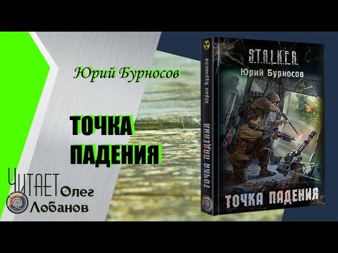 Сталкер аудиокнига точка падения