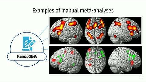 OHBM 2025 | Educational Course | New frontiers in neuroimaging meta-analyses | Part 2
