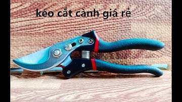 Kìm kéo cắt tỉa cành cây bon sai giá rẻ