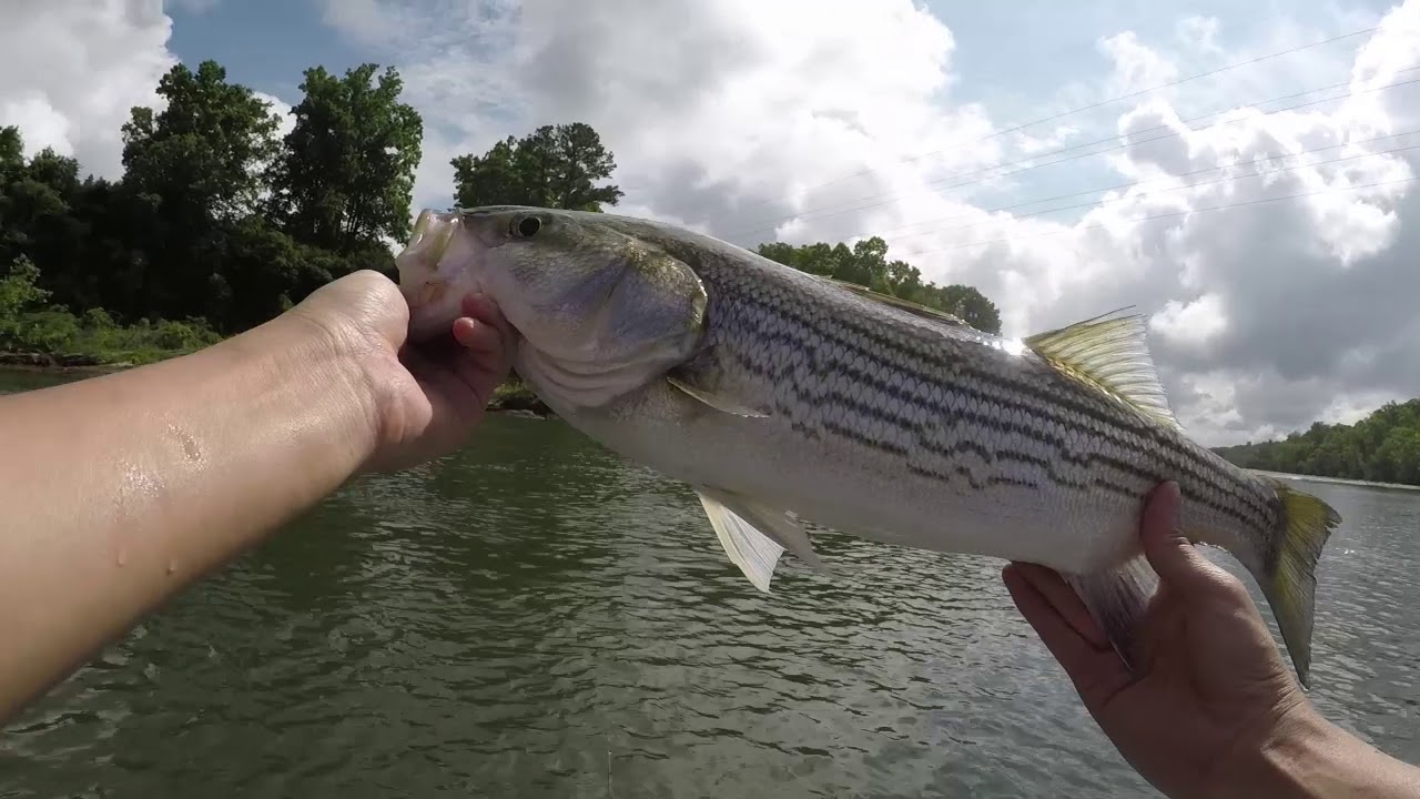 A Dangerous Kind of Kayak Fishing 