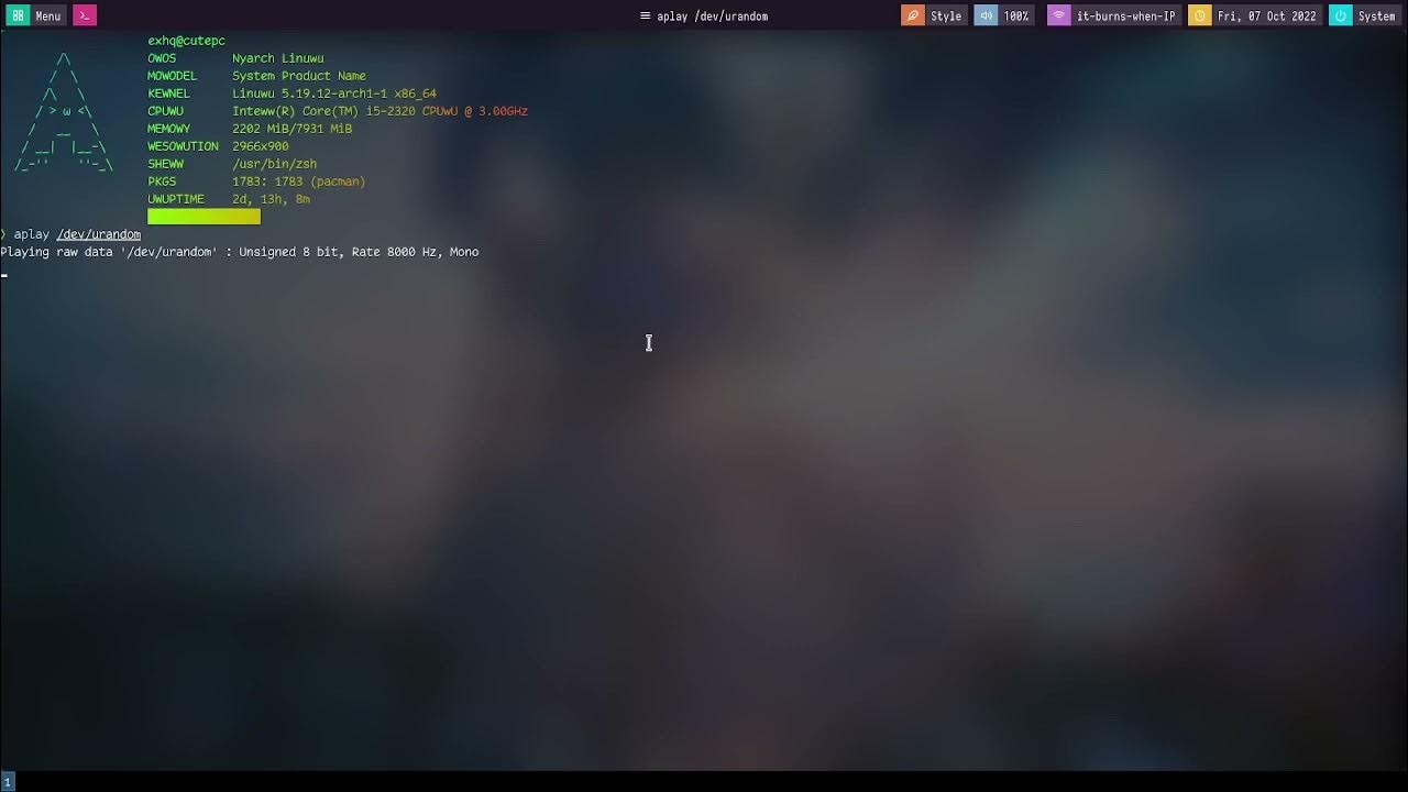 ECHO aplay /dev/urandom YouTube