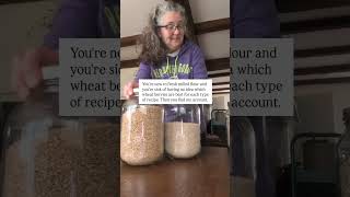 Your Family Hates Fresh Milled Bread? Try This.
Fresh Flour is loaded with good nutrients. But that really doesnt matter if your family wont eat what youre baking.
If youre new to fresh flour, youve probably realized theres a little bit of a learning curve, but if you know the right tips and tricks and youre choosing the right wheat berries for each type of recipe youll have better results.
Learning to bake with fresh flour can be complicated, but it doesnt have to be.
Grab my full cheat sheet so you can start choosing the right wheats
👉 https://soulyrested.com/pantry/
Use code SOULYRESTED to save on all the goodness from my favorite farming family that sells the best options:
Check it out here 👉 https://soulyrested.com/heritage/ Your Family Hates Fresh Milled Bread? Try This.
