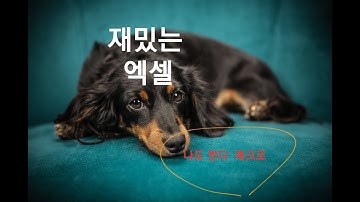 8재밌는 엑셀 (매크로 vba ) cells속성