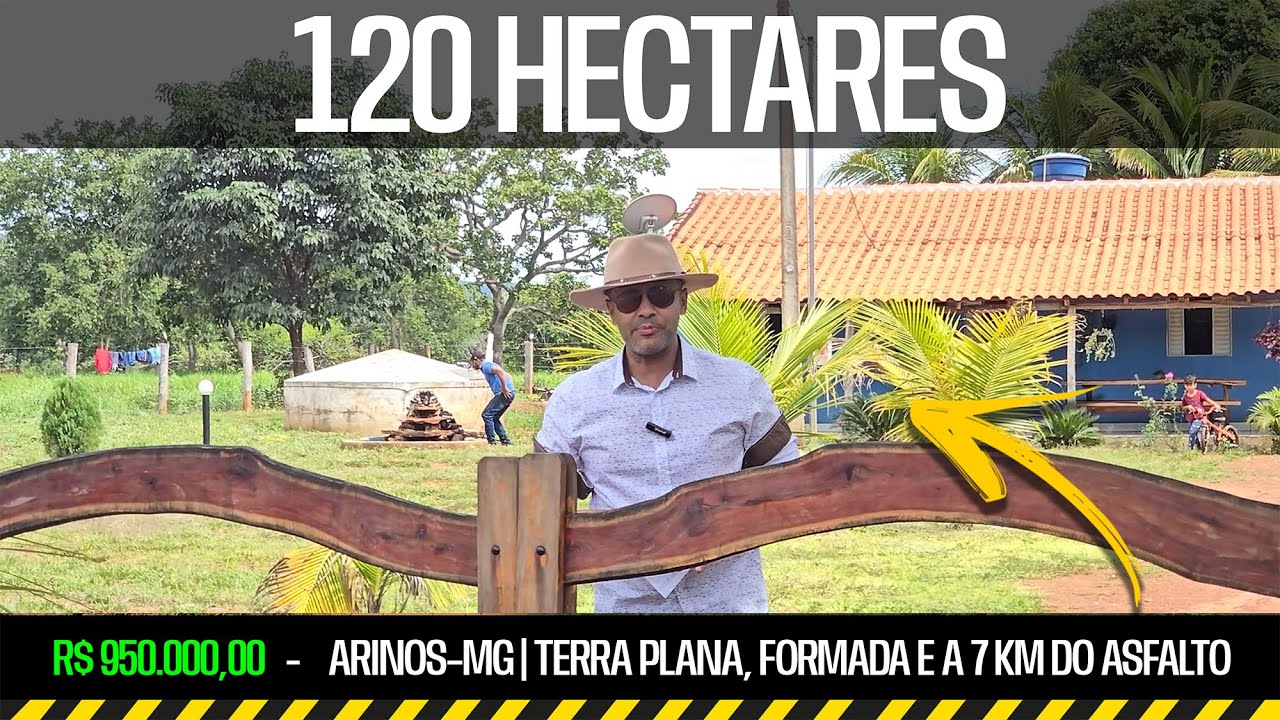 Fazenda 120 Hectares em Arinos–MG | Terra Plana, Formada e a 7 km do Asfalto | R$ 950.000