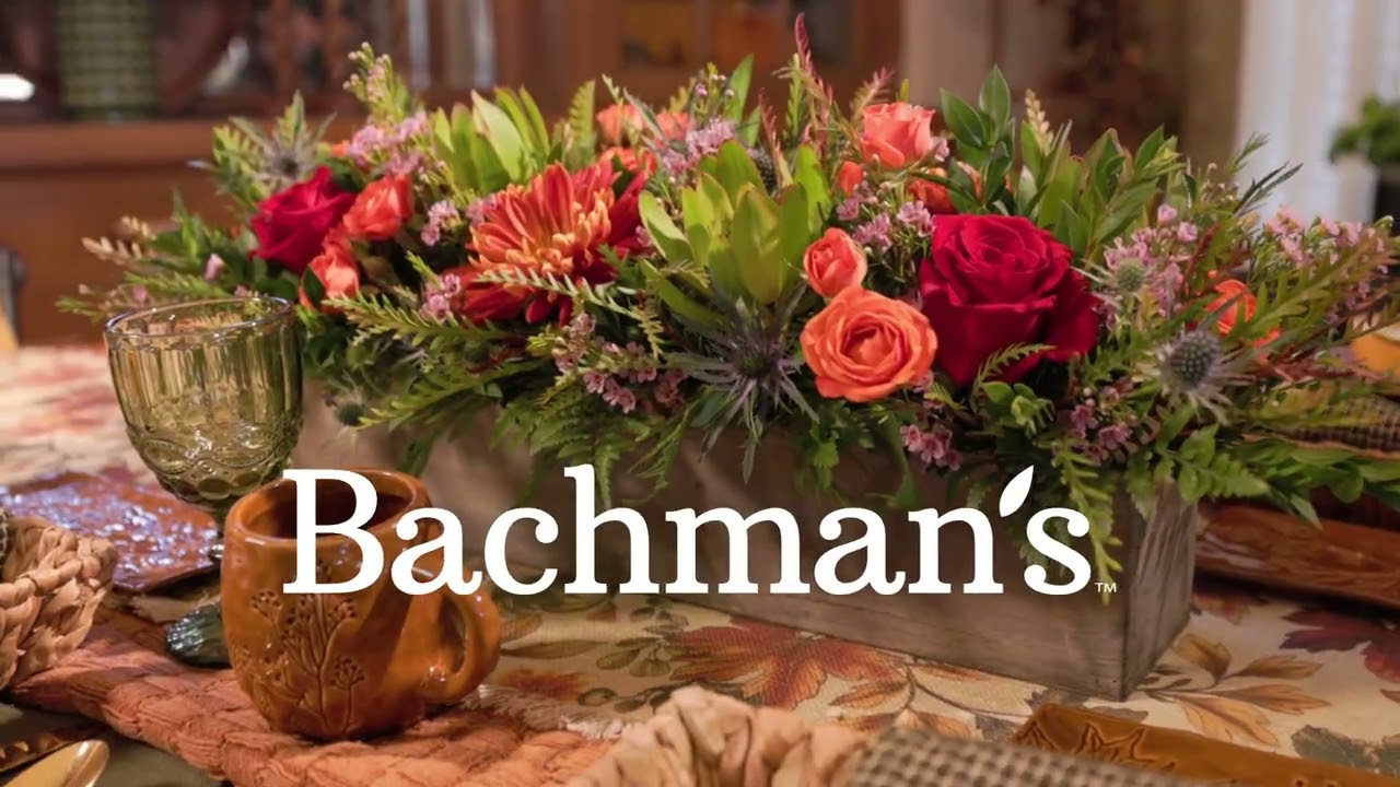 Bachmans.com | Fall Transition