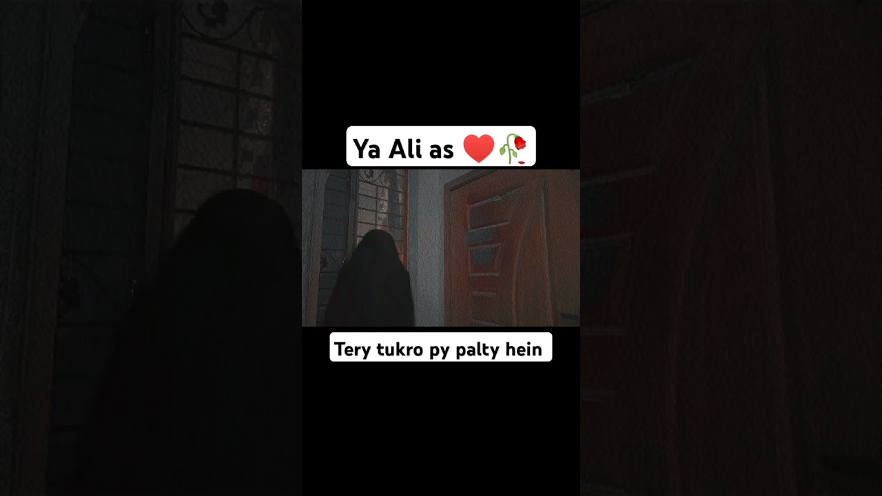 ya ALI tery tukro py palty hein 