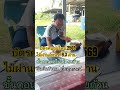 #บัตรสวัสดิการแห่งรัฐ #บัตรคนจน # #food #news #funny