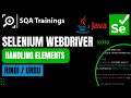 Selenium WebDriver with Java - Handling elements in Hindi/Urdu