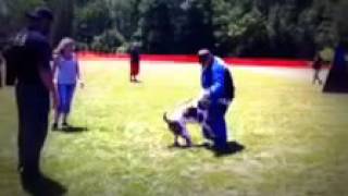 PSA decoy camp 2013