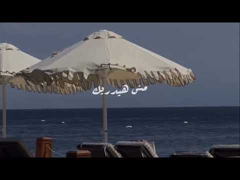 ارتاح وياك و انا ماسك ايديكي توليت