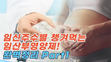 첫째 출산할때 몰랐던 임신주수별 임산부영양제 | 임신초기 영양제 | 임신중기영양제