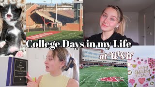 College Days in my Life | small thrift haul, baking, kitten update by Sophia Juliet 193 views 1 year ago 25 minutes