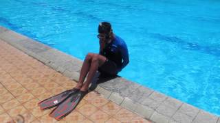 Tutorial : Entries "Back Roll"