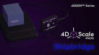 How to use 4D Scale micro With Shipbridge | 4D Scale Tutorial