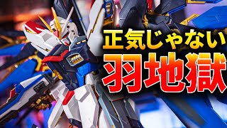 夏休みの課題にピッタリなドM専用機PGストライクフリーダムガンダムをレビューPG STRIKE FREEDOM GUNDAM Gunpla【機動戦士ガンダムSEED:Destiny】