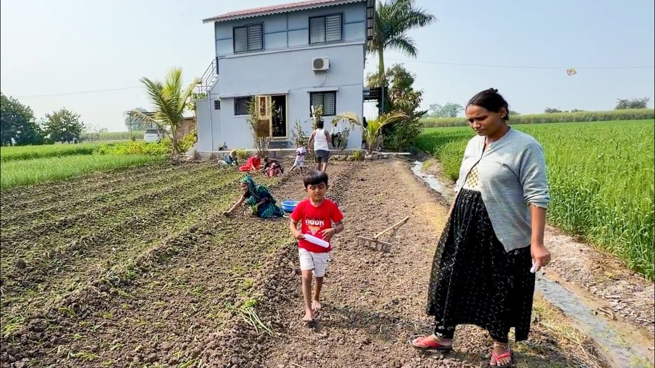 माऊलीने विमान बनवण्यासाठी वही फाडली 😳