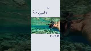 Smile and dive, life is short????diving scuba_diving padi shark dalış sualtı sea godiving33