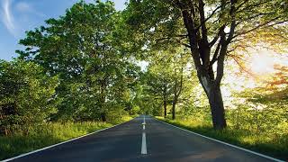 19 filmoj de 逃光焱流